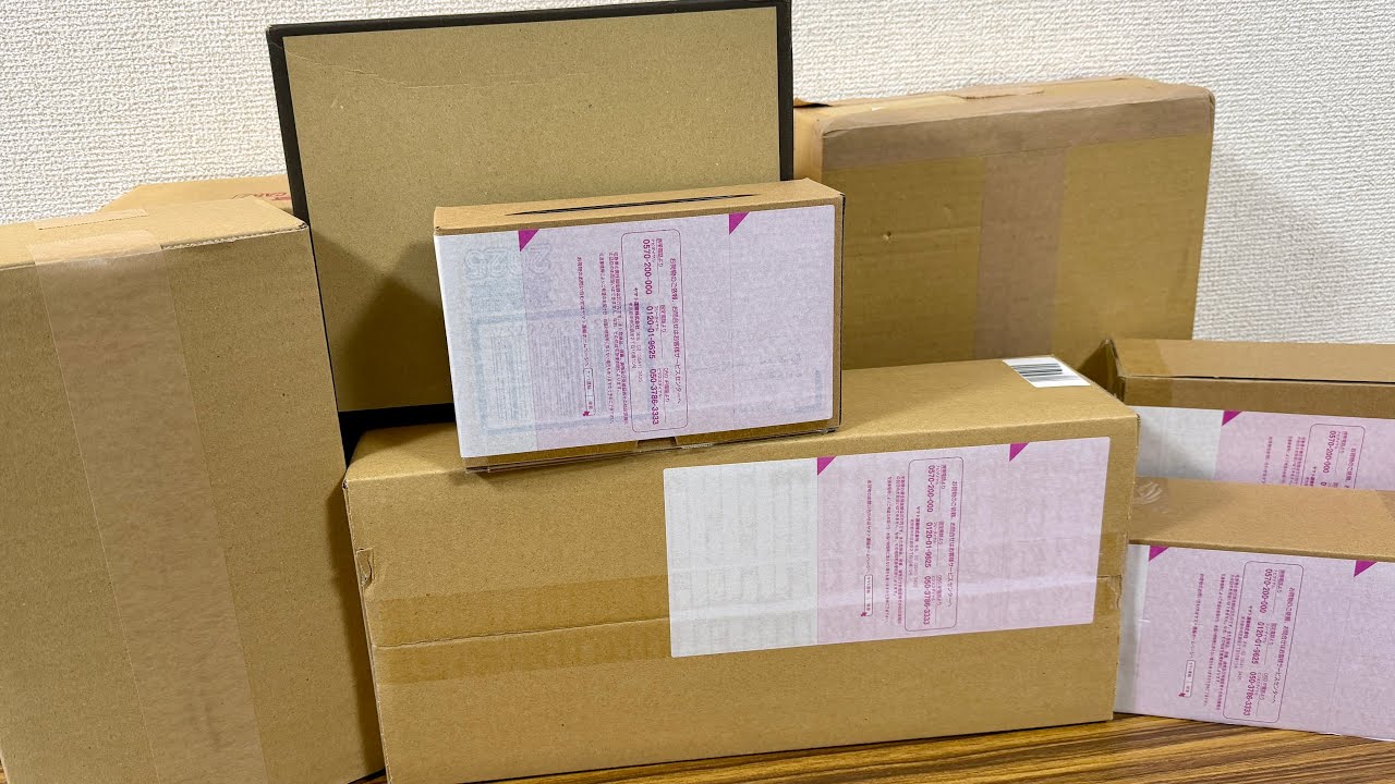 Lots of Premium Bandai items arrived in November] That hasn't