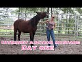 First Touches | Day One w/ my Internet Auction Mustang