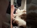 #tiktok #relateable #foryou