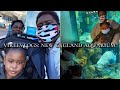 VikeeVLOG: New England Aquarium