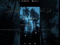 قيل ادخل الجنه قال ياليت قومي يعلمون لاتنسى الاشتراك في القناه 