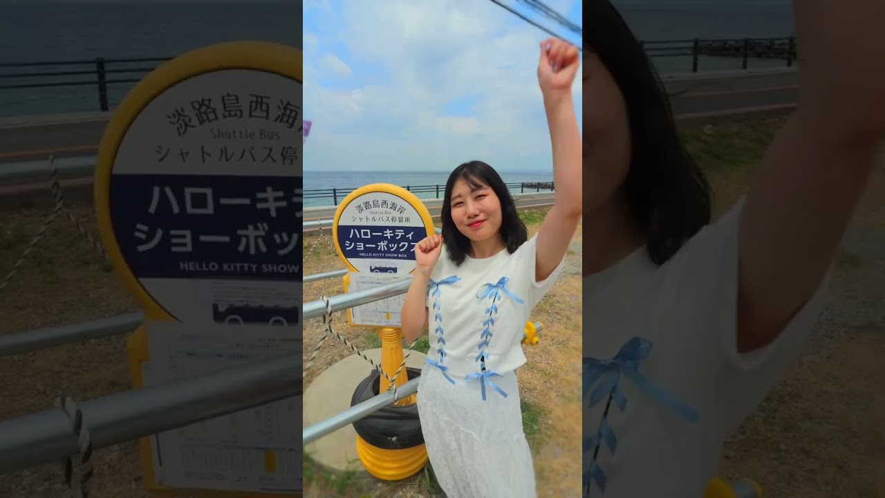 動画を再生
