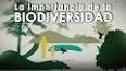 La importancia de la biodiversidad ile ilgili video