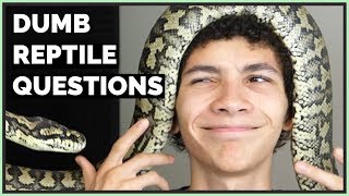 The Dumbest Reptile Questions People Ask Me