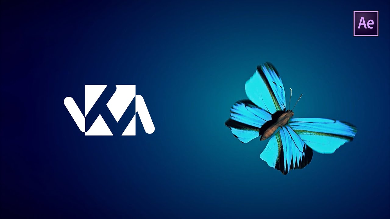Animation Javascript Papillon After Effects - Animation d'un papillon - YouTube