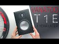 Still BEASTS! One Year Later w/ Vanatoo Transparent One Encore (T1E)