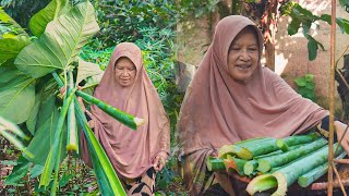 Memetik Lompong di Kebun | Masak Tumis Sayur Lompong, Telur Kriting Teri Nasi, Pisang Rebus