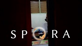 Spora - Tugas Pengantar Sinematografi