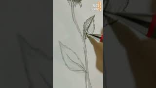 easy pencil drawing 🌷✍🏼 تظليل سهل بالرصاص ورقة شجر☘️