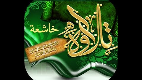 سورة مريم الشيخ جمال عبدالله الشامى