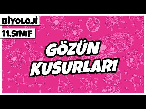 11. Sınıf Biyoloji - Gözün Kusurları | 2022