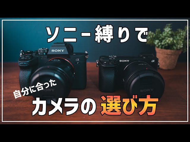 SONY縛り編】自分の目的にあったカメラの選び方とおすすめカメラ - YouTube