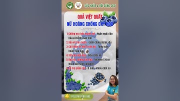 Quả Việt Quất – Nữ Hoàng Chống Oxy Hóa Tốt Cho Sức Khỏe | Sức Khỏe & Đời Sống 365