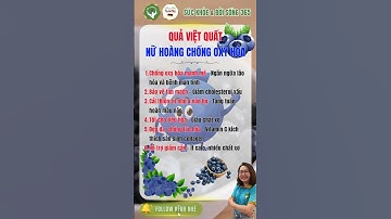Quả Việt Quất – Nữ Hoàng Chống Oxy Hóa Tốt Cho Sức Khỏe | Sức Khỏe & Đời Sống 365