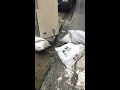 Street art video BCN – urban art Barcelona, street art video Barcelona, art video BCN