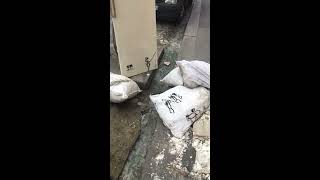 Street art video BCN – urban art Barcelona, street art video Barcelona, art video BCN – Barcelona street art video