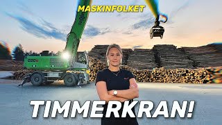 SHE WORKS AT SWEDENS BIGGEST WOOD TERMINAL! 🏗️🪵