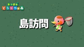 【ハイセンス】視聴者さんの超オシャレな島を訪問しました!【あつまれどうぶつの森】