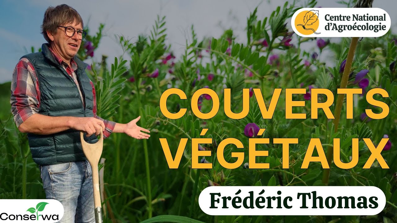 Couverts Végétaux : Utopie ou vraie solution pour le carbone et l'azote ? Frederic THOMAS