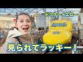 【奇跡】名古屋駅でドクターイエローに遭遇!幸せの黄色い新幹線と、初めての味噌きしめん