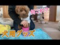 犬の足洗いカップを試してみたよ