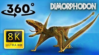 Vr Jurassic Encyclopedia - Dimorphodon Dinosaur Facts 360 Education