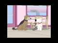 Brian Lets A Dog Loose Family Guy S8 Ep8 