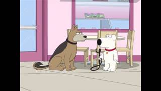 Brian Lets A Dog Loose Family Guy S8 Ep8 screenshot 4