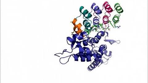 Bio-molecular modeling and simulation for protein design
