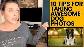 10 TIPS FOR DOG PHOTOGRAPHY  Improve Your Shots with 10 Tips for How To Photograph Dogs