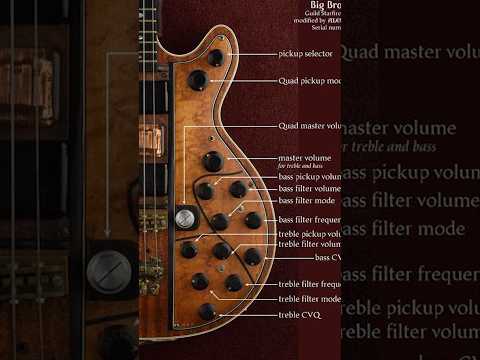 This man put 14 controls on his bass!