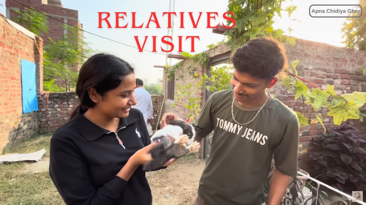 Morning with Pets | Snake Scare |  Relatives visit at Mini Zoo 