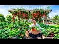 90+ Beautiful Backyard Kitchen Garden Ideas for a Productive Outdoor Space
