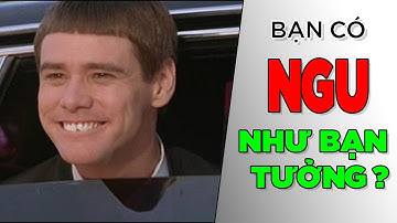 Bạn có NGU như bạn tưởng? Dyslexia - Dysgraphia - Dyscalculia [KienThucNe] [Dưa Leo DBTT]
