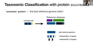 Famous BOSC2021 S4b Tessa Pierce Ward   Sourmash protein k mer sketches for large scale sequence comparison Net Worth