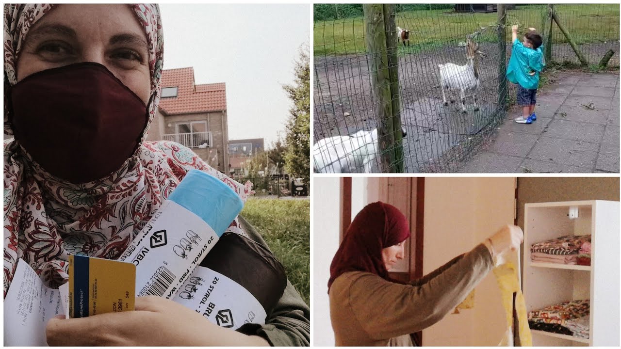 Vlog: gangas de segunda mano, ordeno mis telas, cabras y gallinas del barrio