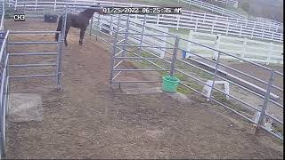 Ch03 20220125 062528 062542 101000000000