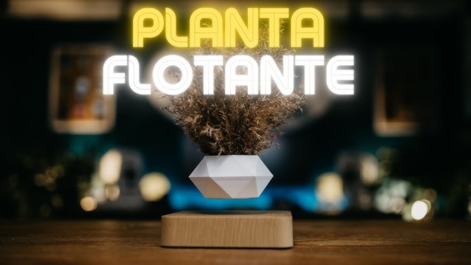 Flyte - pot de fleurs en lévitation – L'avant gardiste