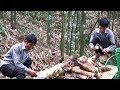 How to Smoke Bamboo Shoots for Year Round Storage | Solo Survival Cooking
