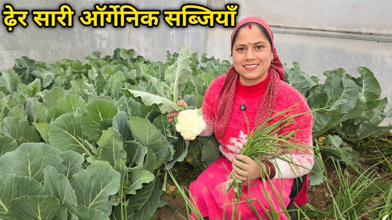 सावन जैसा मौसम और पहाड़ी स्पेशल कढ़ी-भात || Pahadi Lifestyle Vlog || Priyanka Yogi Tiwari ||