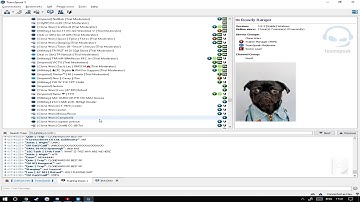 TRAINER MEETING GONE WRONG ICEFUSE