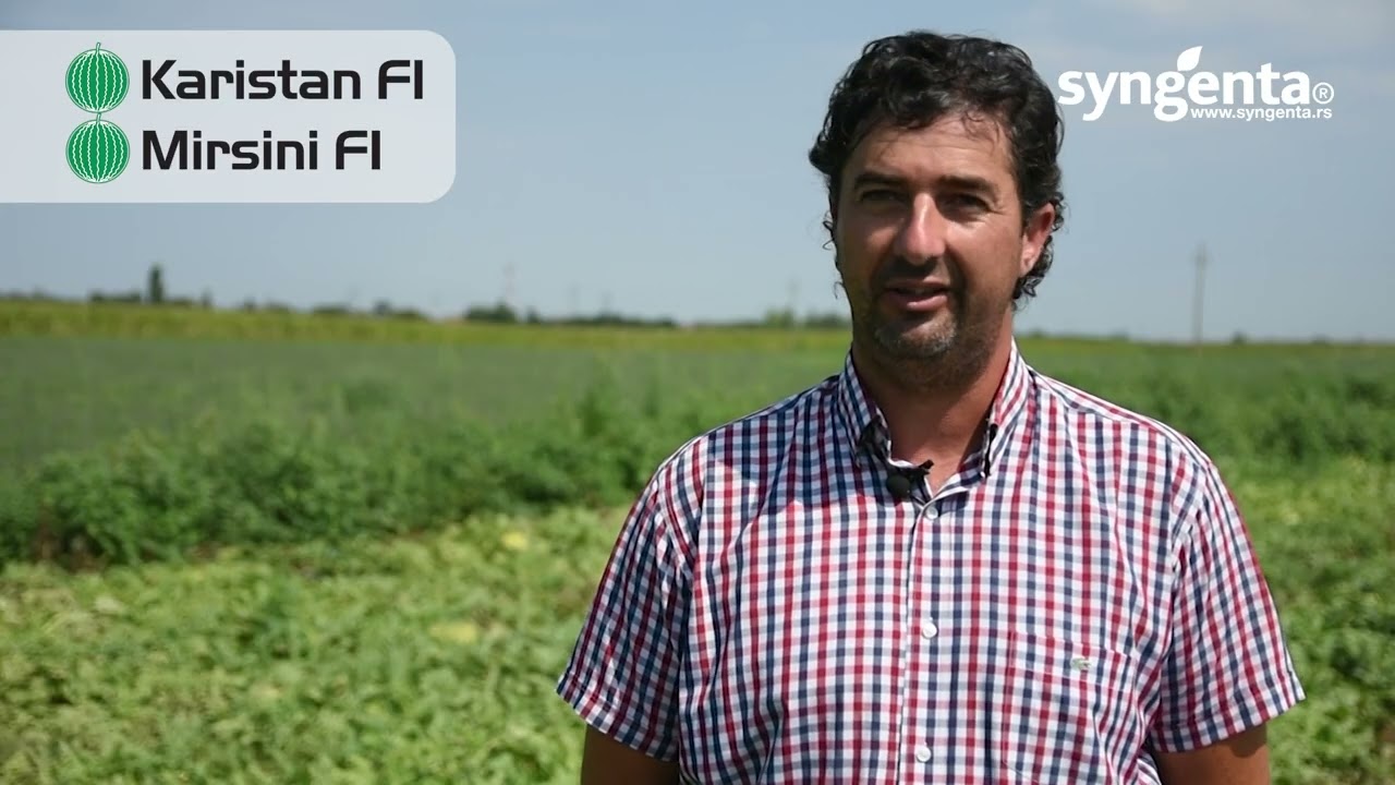 LUBENICE u koje se kunu i FARMERI i POTROŠAČI