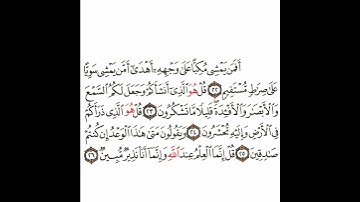 سورة الملك 6 القسم السادس تكرار كيفي من .. أفمن يمشي مكبا على وجهه .. إلى .. وإنما أنا نذير مبين
