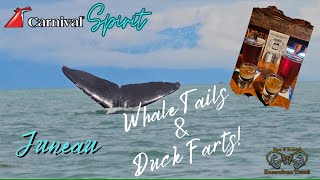 Whale Tails & Duck Farts | Carnival Spirit 2023