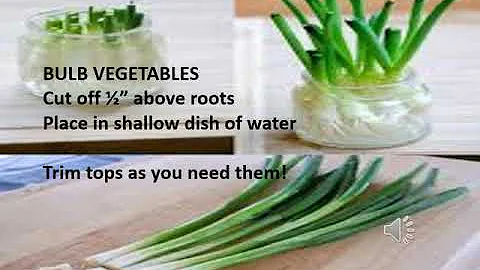 How to Grow Vegetables from Kitchen Scraps