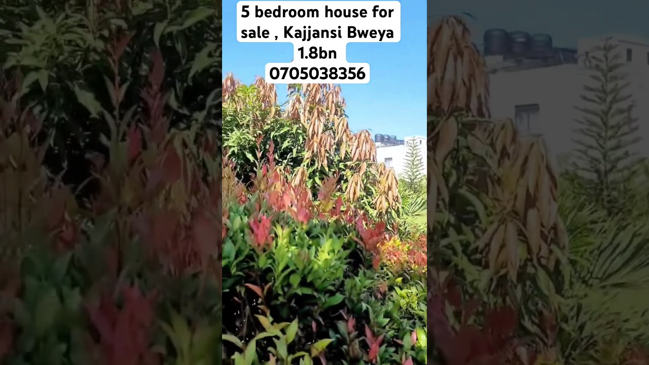5bdrm House in Division A for sale