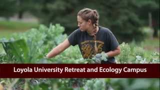 Institute of Environmental Sustainability