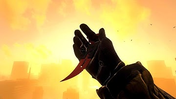 The KARAMBIT KNIFE in Modern Warfare 3 is INSANE
