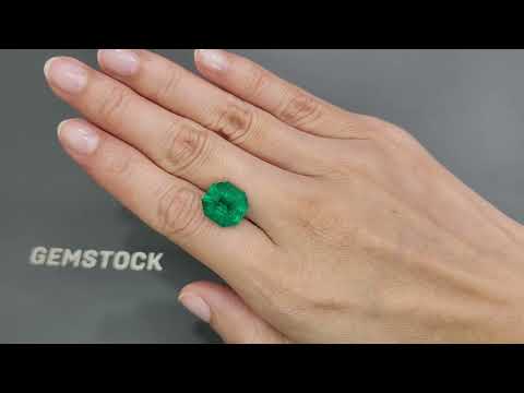 Vivid Green Colombian emerald in octagon cut 7.42 carats Video  № 1