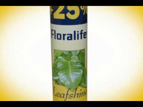 Con que abrillanto y  el follaje de mis plantas y arreglos florales: Floralife Leafshine